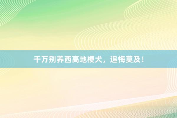千万别养西高地梗犬，追悔莫及！